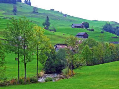 Stein yerleşim ve Obertoggenburg bölgesinde Wiss Thur dere-St Gallen, Isviçre