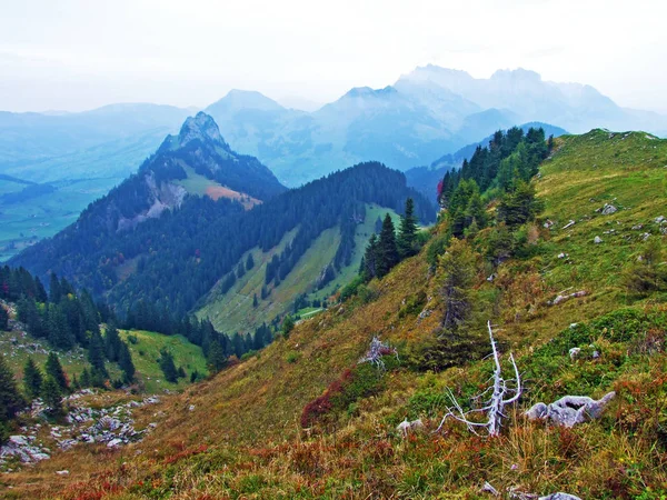 Альпійські Пейзажі Пагорби Obertotgenburg Регіоні Унд Ріка Тур Долини Штайн — стокове фото