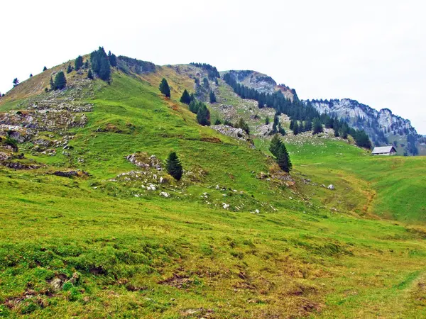 Mountain Peak Gulme Veya Gulmen Obertoggenburg Bölgesinde Stein Aziz Gallen — Stok fotoğraf