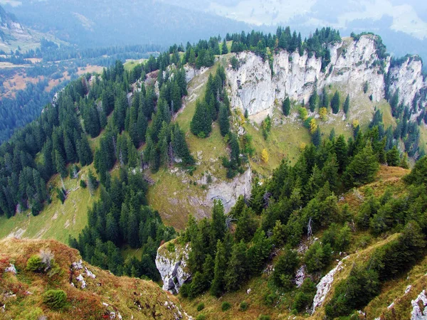Obertoggenburg bölgesindeki dağ tepesinde gulme veya gulmen 'den bir manzara, Stein-St. Gallen Kantonu, Isviçre