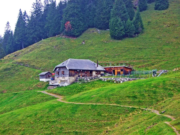 瑞士圣加仑斯坦斯坦州 Obertoggenburg 地区的农村传统建筑和牲畜养殖场 — 图库照片