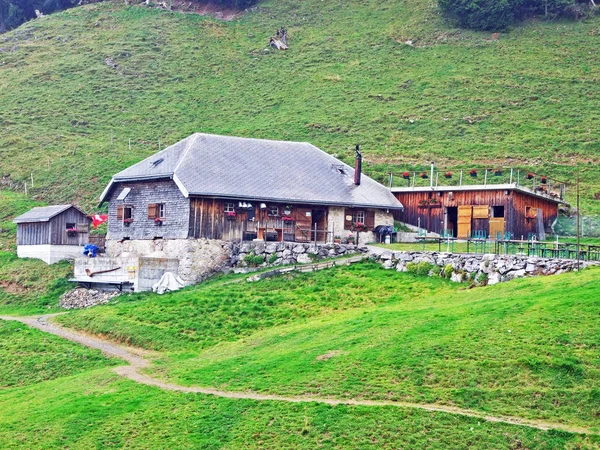 Ländliche Traditionelle Architektur Und Viehhaltung Obertoggenburg Stein Kanton Gallen Schweiz — Stockfoto