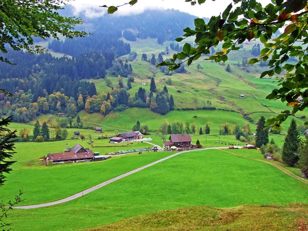 Tradycyjna Architektura Wsi Gospodarstwa Hodowlane Regionie Obertoggenburg Stein Canton Gallen — Zdjęcie stockowe