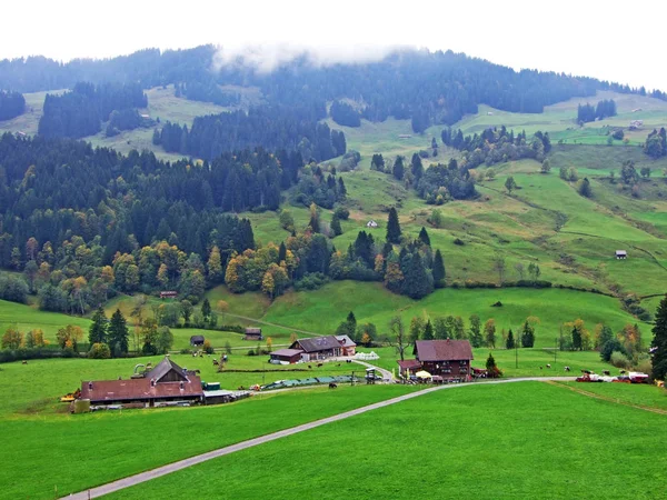 瑞士圣加仑斯坦斯坦州 Obertoggenburg 地区的农村传统建筑和牲畜养殖场 — 图库照片