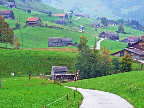 Tradycyjna Architektura Wsi Gospodarstwa Hodowlane Regionie Obertoggenburg Stein Canton Gallen — Zdjęcie stockowe