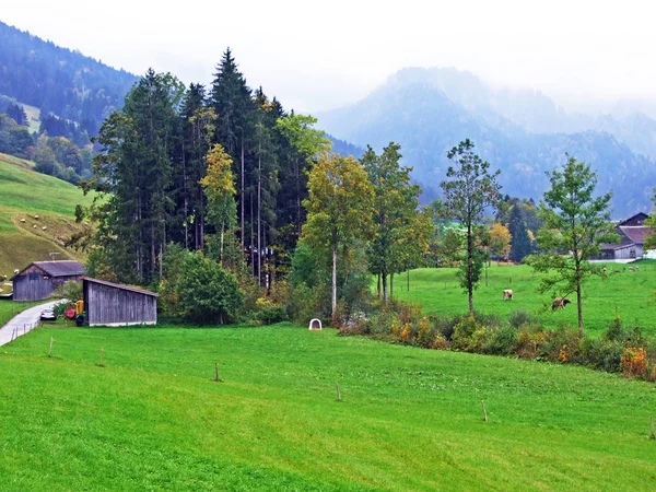 Obertoggenburg bölgesindeki geleneksel kırsal mimari ve Hayvancılık Çiftlikleri, Stein-St. Gallen Kantonu, Isviçre