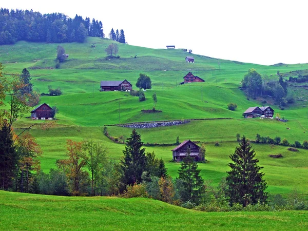 Tradycyjna Architektura Wsi Gospodarstwa Hodowlane Regionie Obertoggenburg Stein Canton Gallen — Zdjęcie stockowe