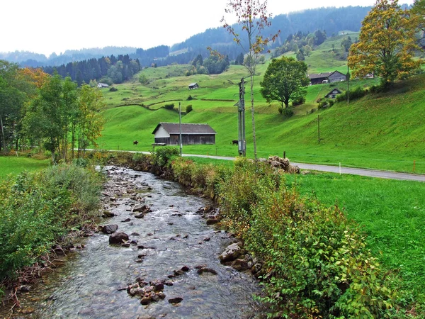 Der Wiss Thur Bach Der Steinsiedlung Und Obertoggenburg Kanton Gallen — Stockfoto