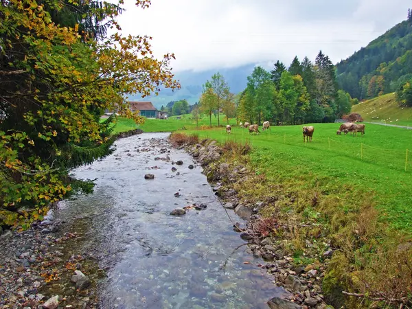 Wiss Thur Potok Osadě Stein Obertoggenburg Kantonu Gallen Švýcarsko — Stock fotografie