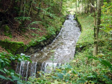 Cascades ve Zen yerleşim ve Obertoggenburg bölgesinde Alpin dere Durrenbach üzerinde yapay şelaleler-St Gallen, Isviçre