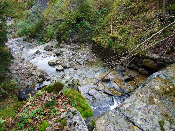 Ruisseau Alpin Durrenbach Duerenbach Dans Colonie Stein Région Obertoggenburg Canton — Photo