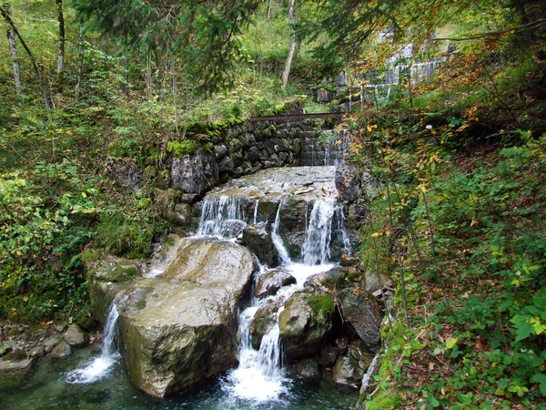 在斯坦定居点的杜伦巴赫高山溪上的瀑布和人工瀑布 瑞士圣加仑州 — 图库照片
