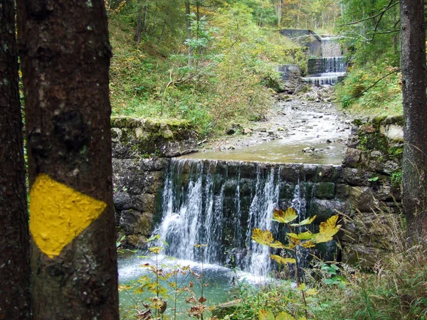 Каскади Штучні Водоспади Альпійський Струмок Durrenbach Селищі Штайн Obertoggenburg Регіоні — стокове фото