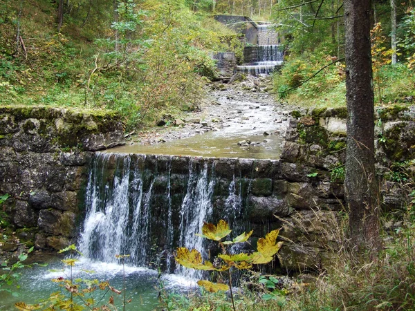 Cascades Mesterséges Vízesések Alpesi Patak Durrenbach Steini Település Obertoggenburg Régióban — Stock Fotó