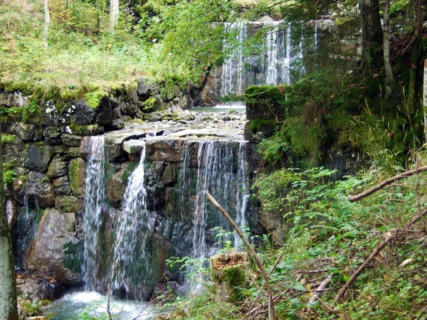 Kaskader Och Konstgjorda Vattenfall Den Alpina Bäcken Durrenbach Stein Bosättningen — Stockfoto