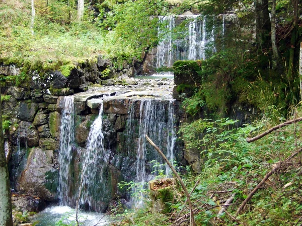 Cascadas Cascadas Artificiales Arroyo Alpino Durrenbach Asentamiento Stein Región Obertoggenburg — Foto de Stock