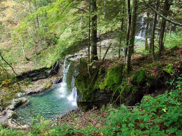 Kaskady Sztuczne Wodospady Alpejskim Strumieniu Durrenbach Osadach Stein Regionie Obertoggenburg — Zdjęcie stockowe