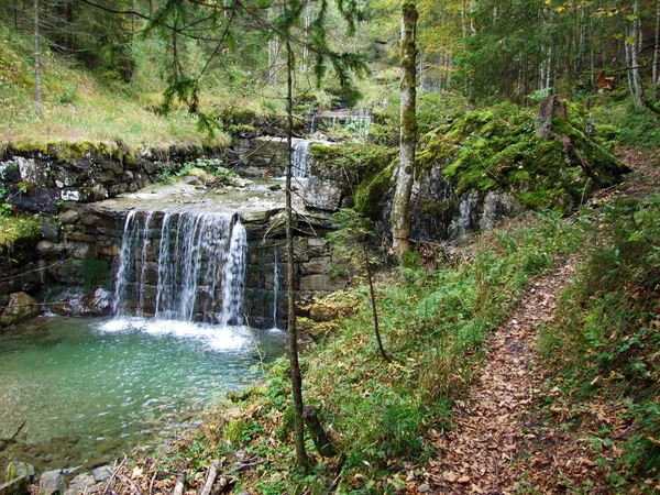 Kaskaden Und Künstliche Wasserfälle Durrenbach Der Steinsiedlung Und Obertoggenburg Kanton — Stockfoto
