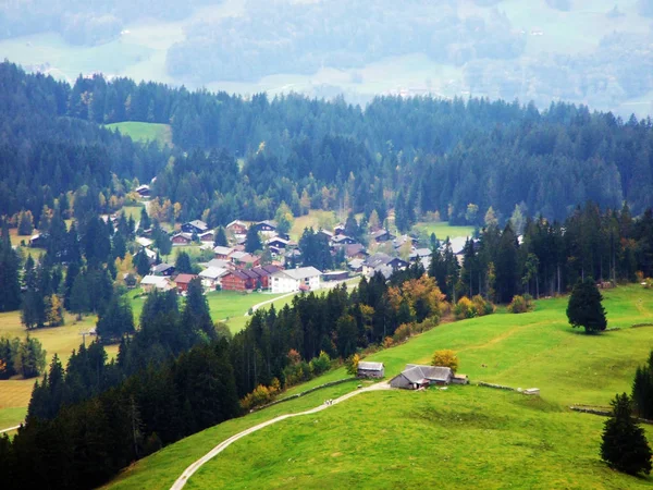 Arbres Forêts Mixtes Dans Région Obertoggenburg Stein Canton Saint Gall — Photo