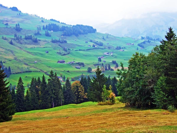 Drzewa Mieszanki Lasów Regionie Obertoggenburg Stein Canton Gallen Szwajcaria — Zdjęcie stockowe