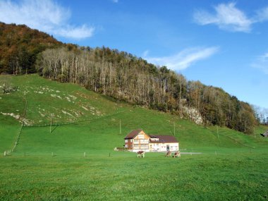 Appenzellerland bölgesinde ve Alpstein sıradağlarında hayvan çiftlikleri ile kırsal geleneksel mimari - Appenzell Innerrhoden Kantonu (Ai), İsviçre