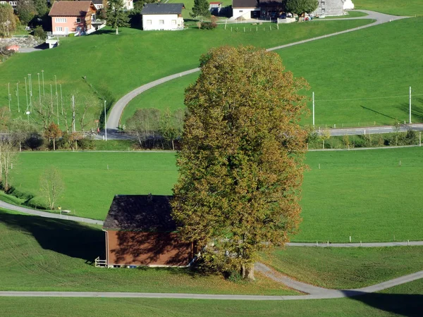 Tradiční Zemědělská Architektura Chovem Dobytka Regionu Appenzellerland Horské Škále Alpstein — Stock fotografie