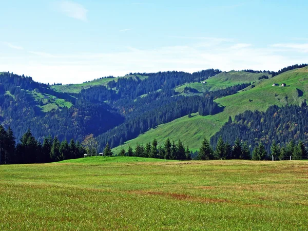 Alpenweiden Weiden Regio Apenzellerland Hellingen Van Het Alpsteingebergte Kanton Appenzell — Stockfoto