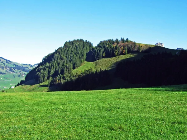 阿彭策勒兰地区和阿尔普施泰因山脉的山坡上的阿尔卑斯牧场和草地 瑞士阿彭策尔内霍登州 — 图库照片