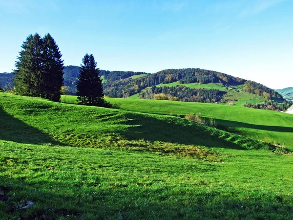 Alpina Betesmarker Och Ängar Regionen Apenzellerland Och Sluttningarna Bergskedjan Alpstein — Stockfoto