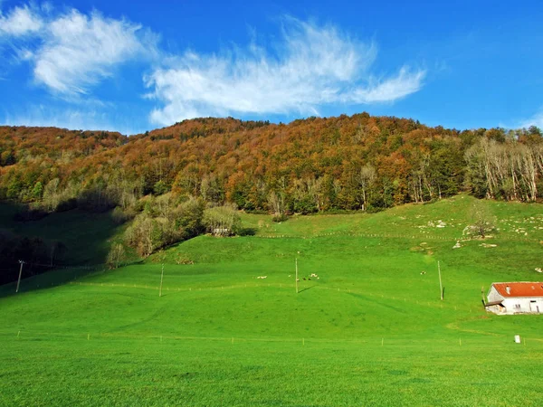 Alpejskie Pastwiska Łąki Regionie Apenzellerland Zboczach Gór Alpstein Canton Appenzell — Zdjęcie stockowe