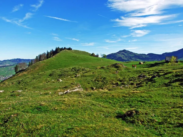 Pastos Prados Alpinos Región Apenzellerland Las Laderas Cordillera Alpstein Cantón —  Fotos de Stock