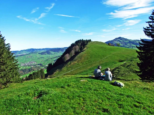 Alpages Prairies Alpines Dans Région Apenzellerland Sur Les Pentes Chaîne — Photo