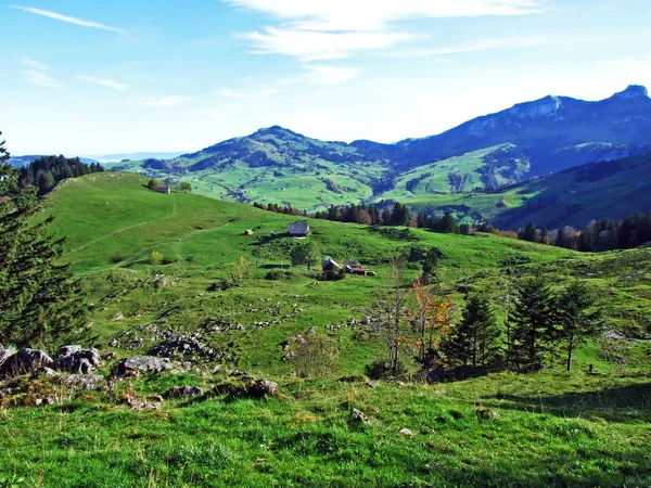 Alpejskie Pastwiska Łąki Regionie Apenzellerland Zboczach Gór Alpstein Canton Appenzell — Zdjęcie stockowe