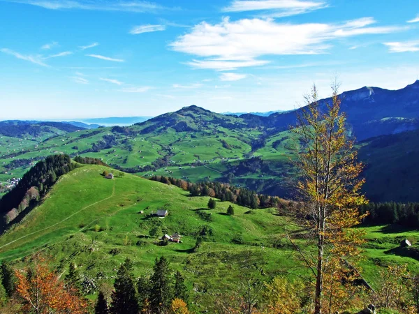 Pastagens Prados Alpinos Região Apenzellerland Nas Encostas Cordilheira Alpstein Cantão — Fotografia de Stock