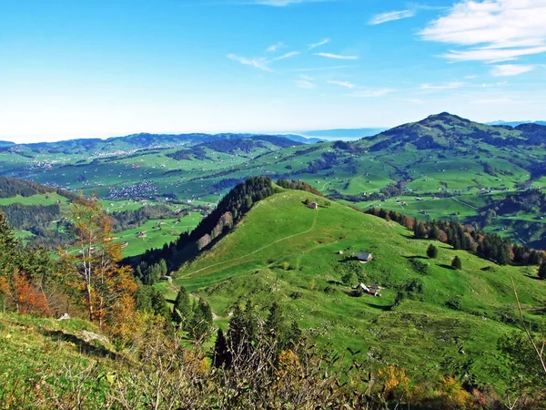 Alpejskie Pastwiska Łąki Regionie Apenzellerland Zboczach Gór Alpstein Canton Appenzell — Zdjęcie stockowe