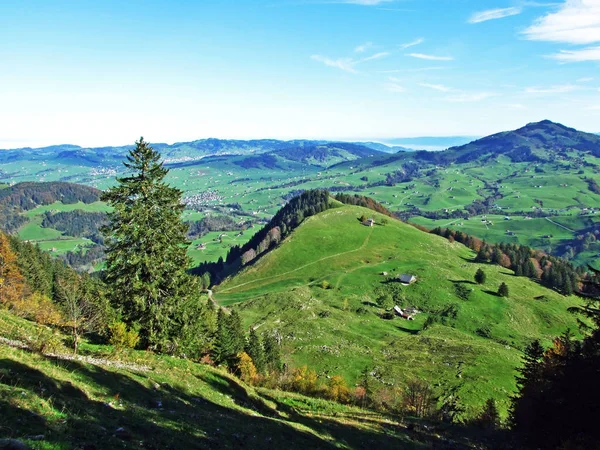 Alpské Pastviny Louky Oblasti Apenzellerland Svazích Horského Pohoří Alpstein Kanton — Stock fotografie