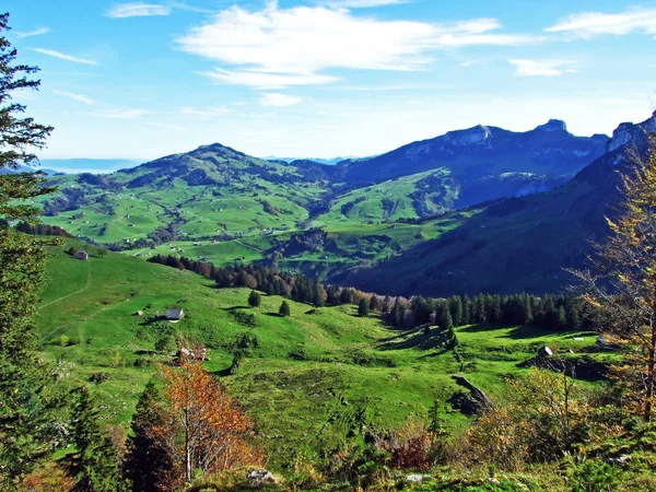 Pastagens Prados Alpinos Região Apenzellerland Nas Encostas Cordilheira Alpstein Cantão — Fotografia de Stock