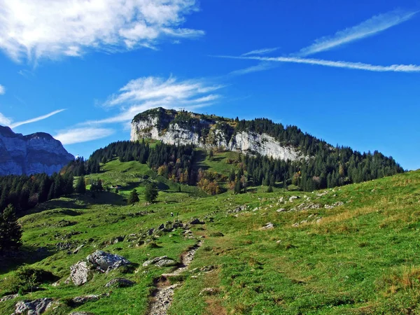 Alpine Hill Ebenalp Bergskedjan Alpstein Och Regionen Appenzellerland Kantonen Appenzell — Stockfoto