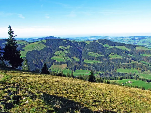 Widok Wzgórza Ebenalp Górach Alpstein Oraz Regionie Appenzellerland Kanton Appenzell — Zdjęcie stockowe