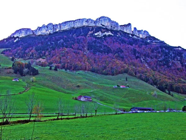 Alpine Hill Alp Sigel Cordilheira Alpstein Região Appenzellerland Cantão Appenzell — Fotografia de Stock