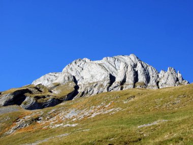 Alpstein ve Appenzellerland bölgesinde dağ masifinin taşları ve kayaları - Appenzell Innerrhoden Kantonu (Ai), İsviçre