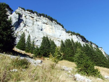Alpstein ve Appenzellerland bölgesinde dağ masifinin taşları ve kayaları - Appenzell Innerrhoden Kantonu (Ai), İsviçre