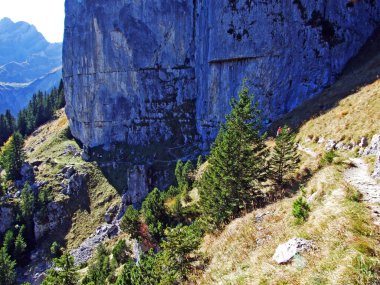 Alpstein ve Appenzellerland bölgesinde dağ masifinin taşları ve kayaları - Appenzell Innerrhoden Kantonu (Ai), İsviçre