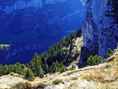 Alpstein ve Appenzellerland bölgesinde dağ masifinin taşları ve kayaları - Appenzell Innerrhoden Kantonu (Ai), İsviçre