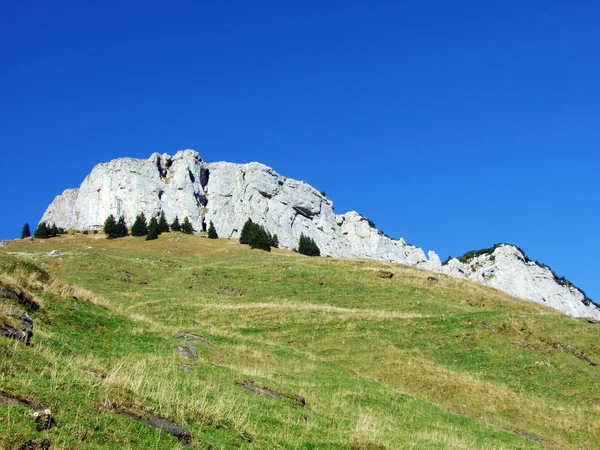 Alpstein Appenzellerland Bölgesinde Dağ Masifinin Taşları Kayaları Appenzell Innerrhoden Kantonu — Stok fotoğraf