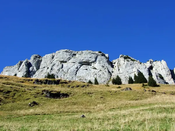 Pierres Rochers Massif Montagneux Alpstein Région Appenzellerland Canton Appenzell Innerrhoden — Photo