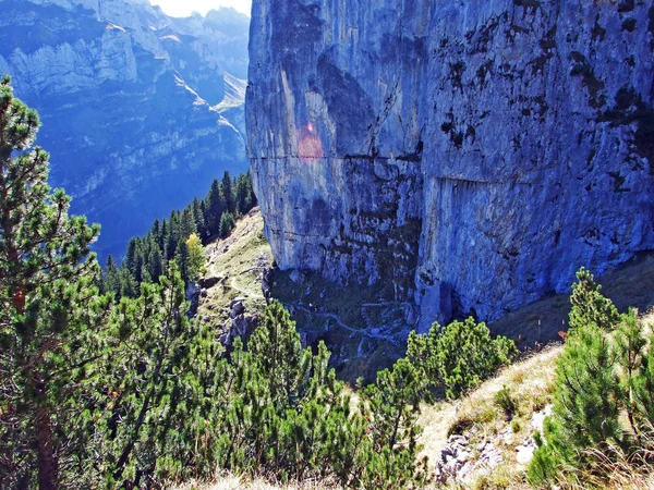 山塊アルプシュタインとアッベンツェラーランド地域の石と岩 アッピンツェル インナーローデン の広州 スイス — ストック写真