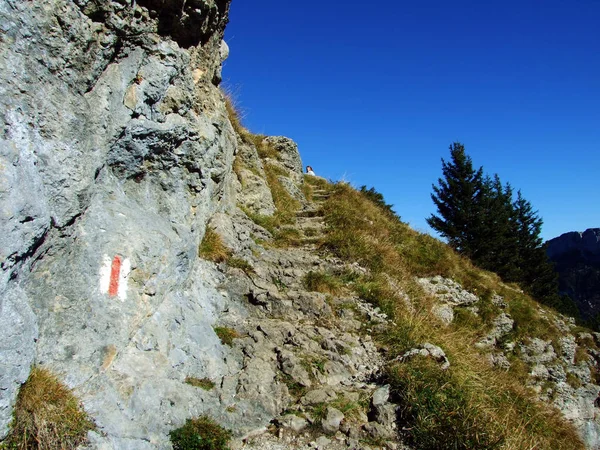 Pedras Rochas Maciço Montanhoso Alpstein Região Appenzellerland Cantão Appenzell Innerrhoden — Fotografia de Stock