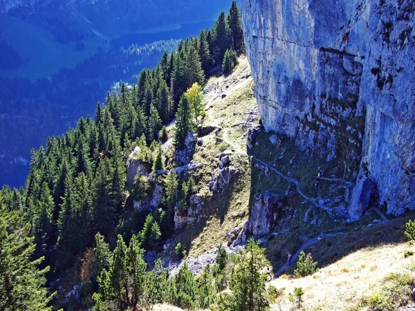 Stenen Rotsen Van Het Bergmassief Alpstein Regio Appenzellerland Kanton Appenzell — Stockfoto