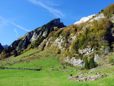 Alpstein sıradağlarının alp manzarası ve kayalık zirveleri - Appenzell Innerrhoden Kantonu (Ai), İsviçre